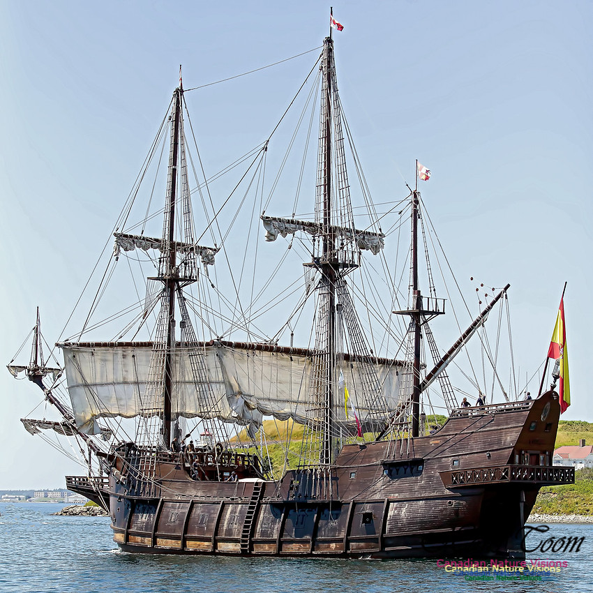 El Galeon 100