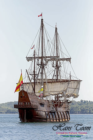 El Galeon 101