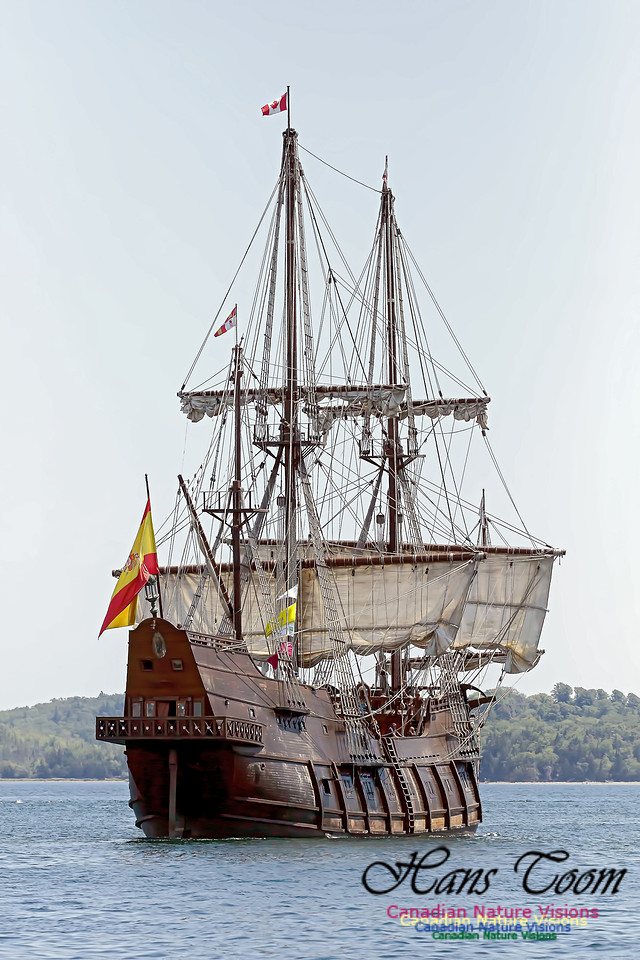 El Galeon 101