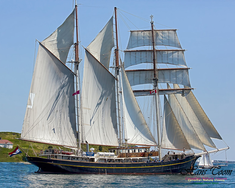 Gulden Leeuw 100