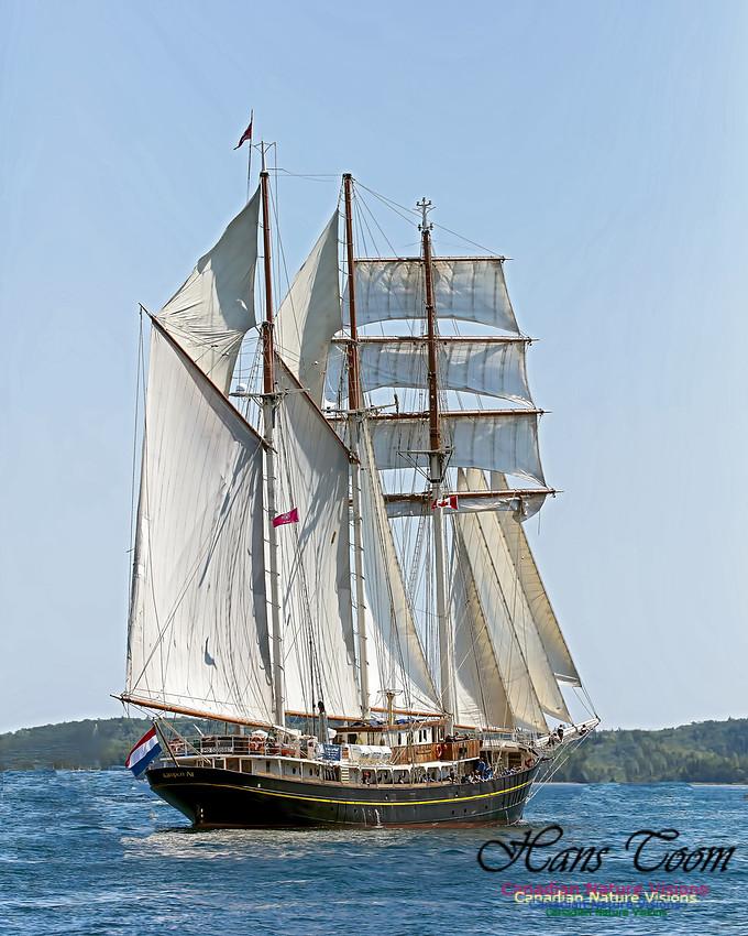 Gulden Leeuw 101