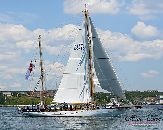 HMCS Oriole 101