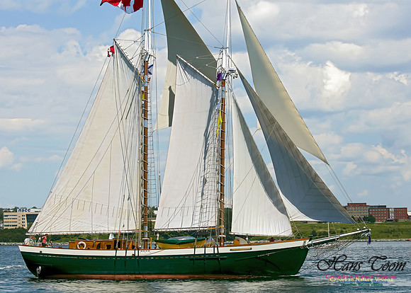 Mist of Avalon 100
