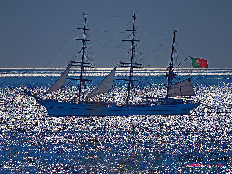 NRP Sagres 100