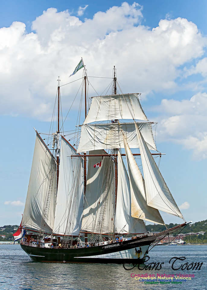 Oosterschelde 100