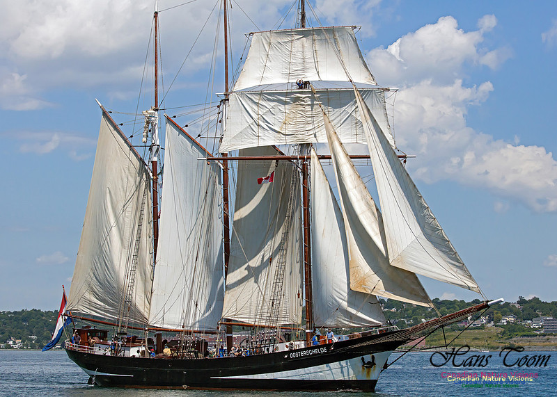 Oosterschelde 101