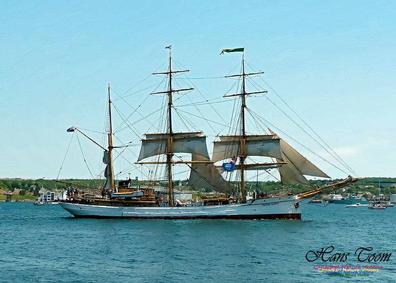 Picton Castle 100
