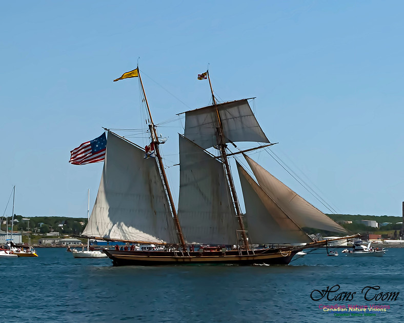Pride of Baltimore 11 100