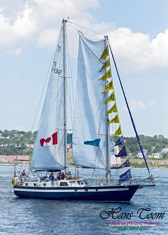 Regina-Germania 100
