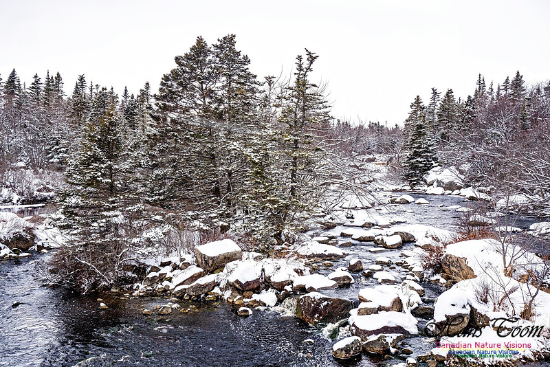 Some Winter Scenes 152