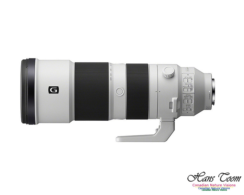 sony 200-600mm (2)