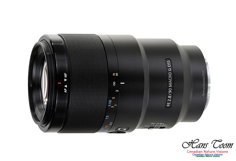 Sony 90mm Macro