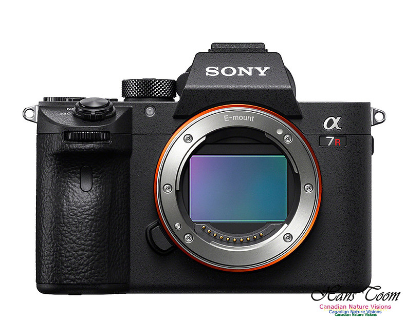 sony a7r