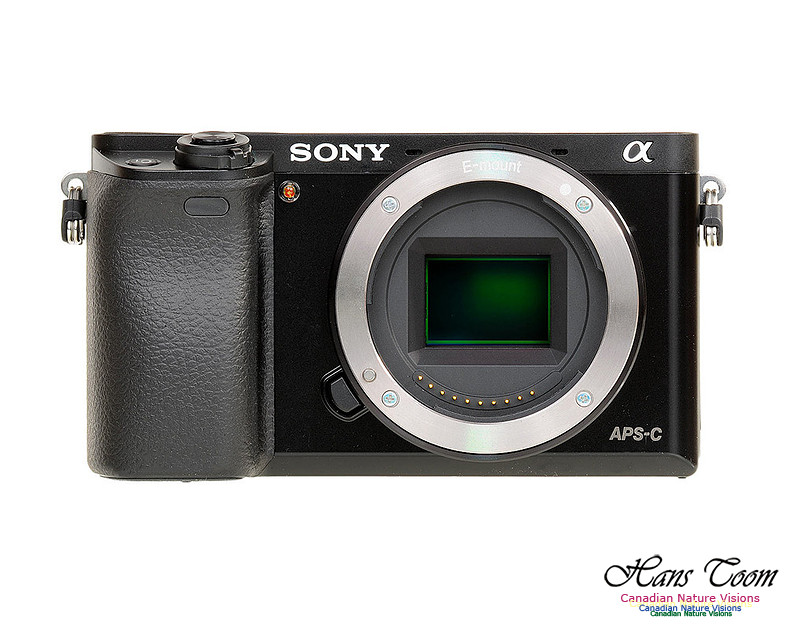 Sony a6000