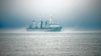 HMCS Preserver 100