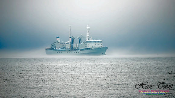 HMCS Preserver 100