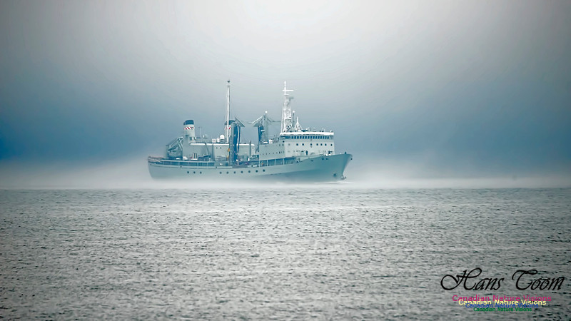 HMCS Preserver 100