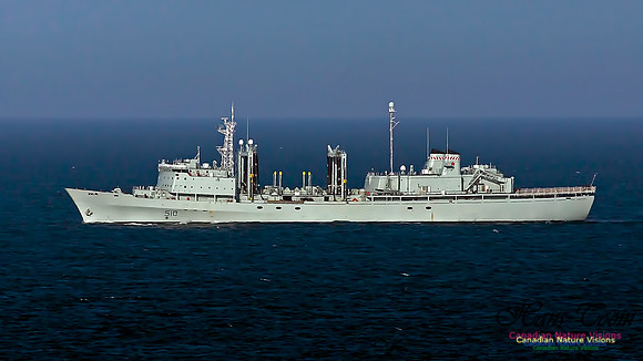 HMCS Preserver 102
