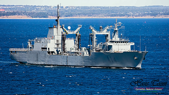 SPS Patino A14 100