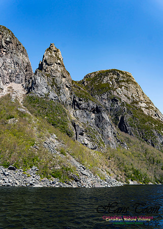 Western Brook Pond 150(the tin man)