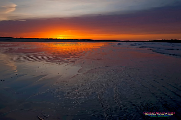 Martinique Beach Sunrise 207