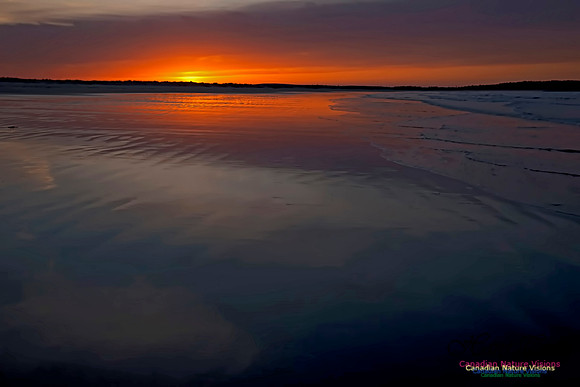 Martinique Beach Sunrise 211