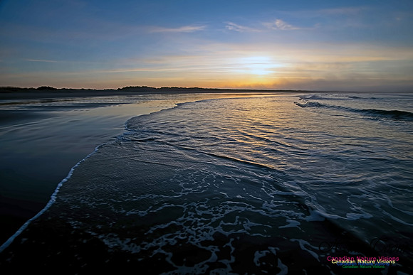 Martinique Beach Sunrise 219