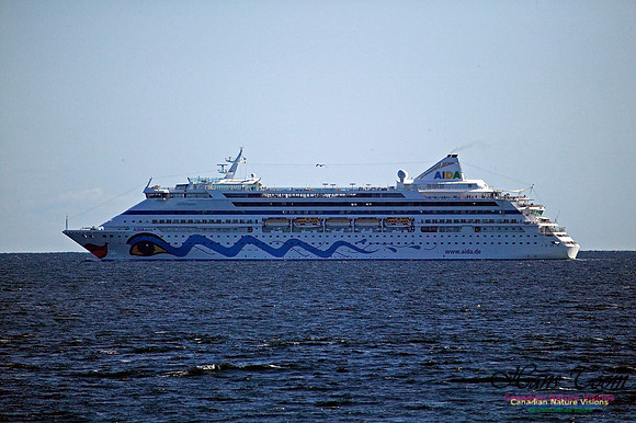 Aida