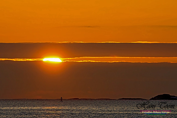 Sambro Island Sunrise 211