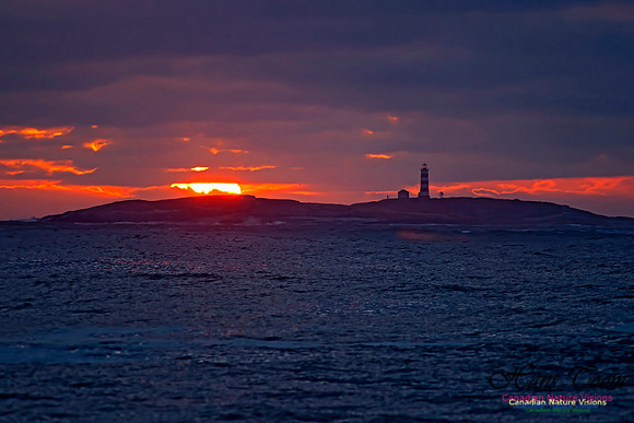 Sambro Island Sunrise 215