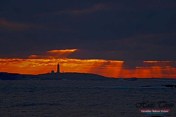 Sambro Island Sunrise 216