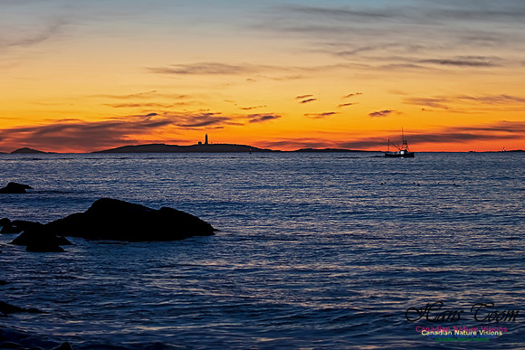 Sambro Island Sunrise 203