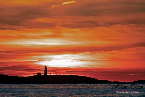 Sambro Island Sunrise 206