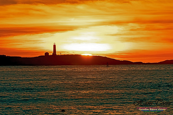 Sambro Island Sunrise 208