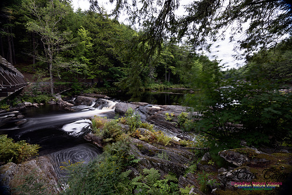 Living Water 111