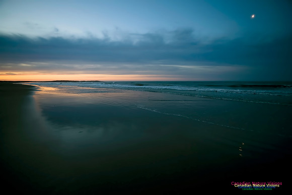 Martinique Beach Sunrise 202