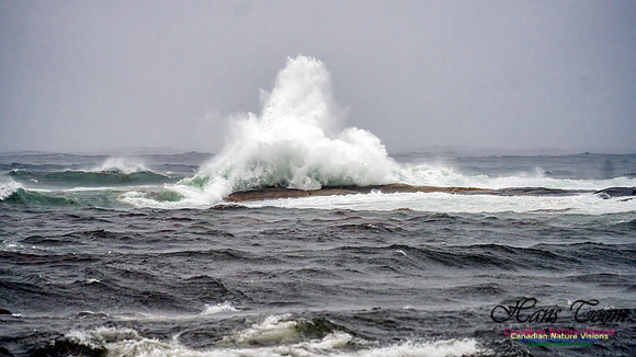 Nova Scotia Gale 2024-09-07 141