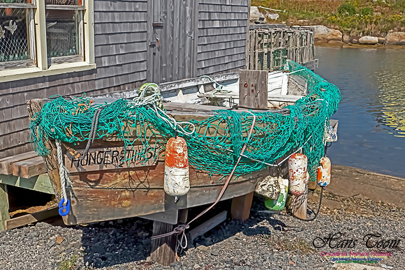Peggy's Cove 107