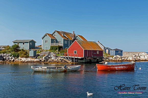 Peggy's Cove 105