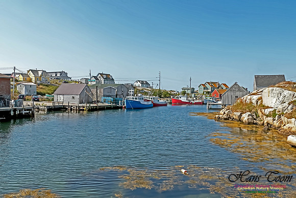 Peggy's Cove 109