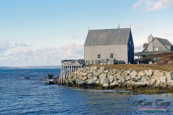 Peggy's Cove 111