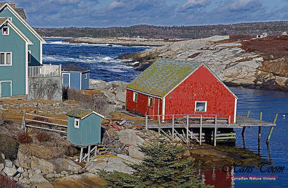 Peggy's Cove 113