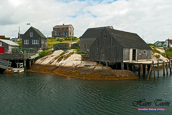 Peggy's Cove 115