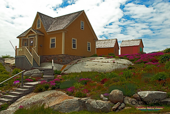 Peggy's Cove 121