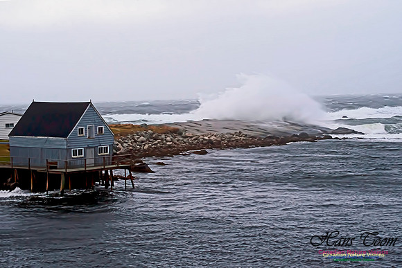Peggy's Cove 122