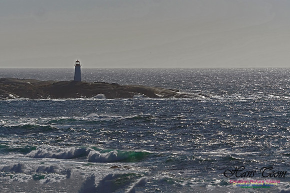Peggy's Cove 128