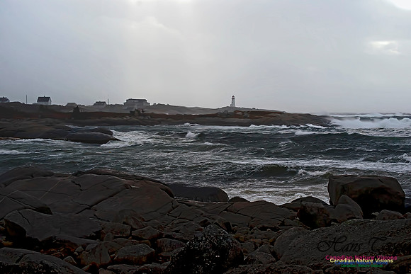 Peggy's Cove 132