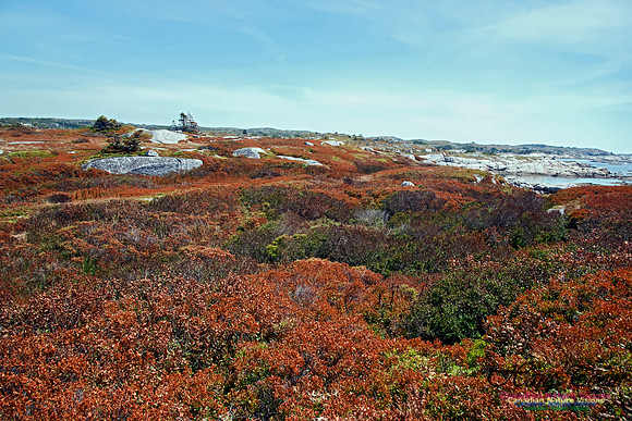 Peggy's Cove 138