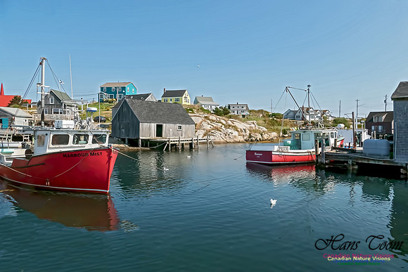 Peggy's Cove 103
