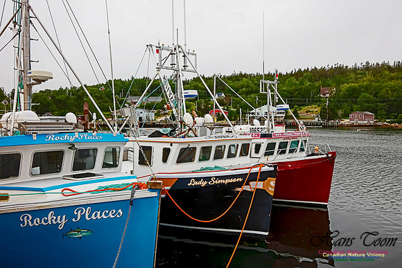Aspotogen Peninsula 329